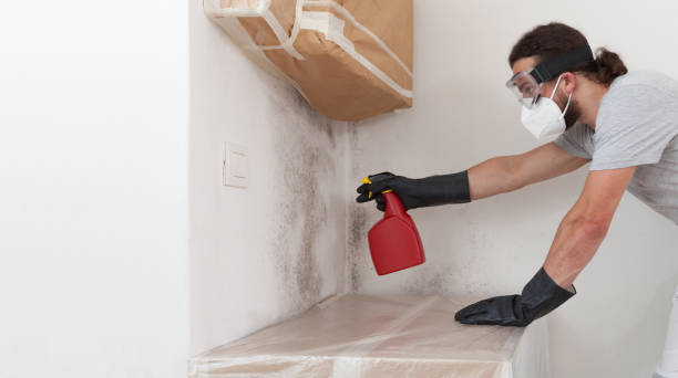 Professional Attic Mold Remediation technician working in Farmington, IL