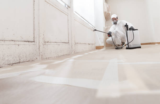 24/7 Emergency Attic Mold Remediation experts in Farmington, IL