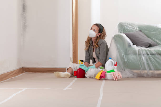 Reliable Attic Mold Remediation contractor in Farmington, IL by 24 Hour Mold Removal